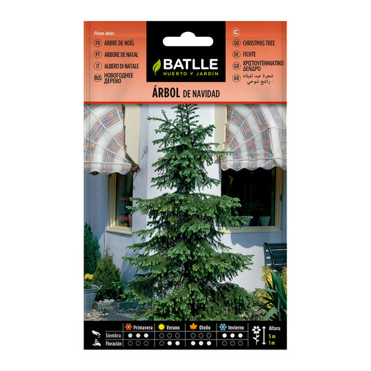 Semillas de  Árbol de Navidad