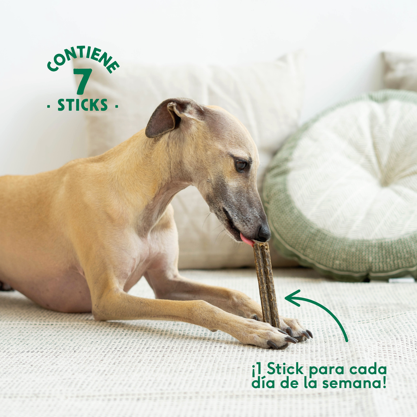 Stick Dental Sensitive Stomach Wild Balance 7 uds.