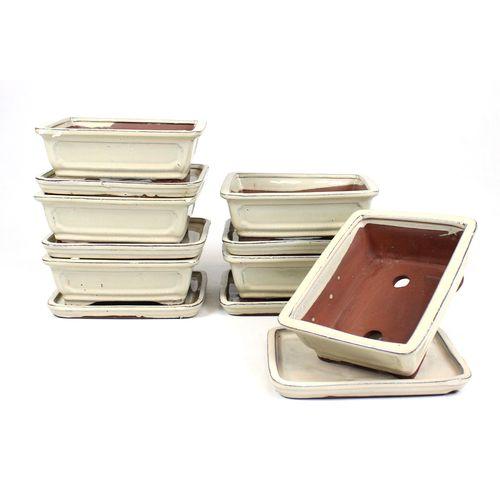 Tiesto bonsáis rectangular 20 cm con plato crema