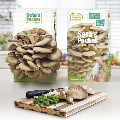 Kit de autocultivo de Setas Pocket Gourmet