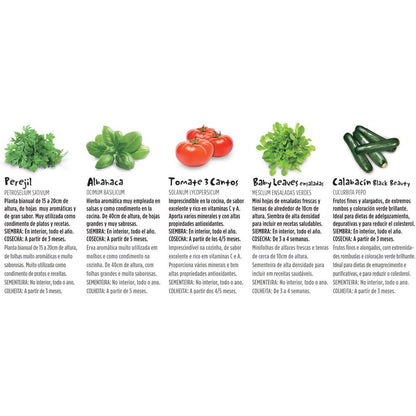 Kit Huerto Vintage Eco Batlle