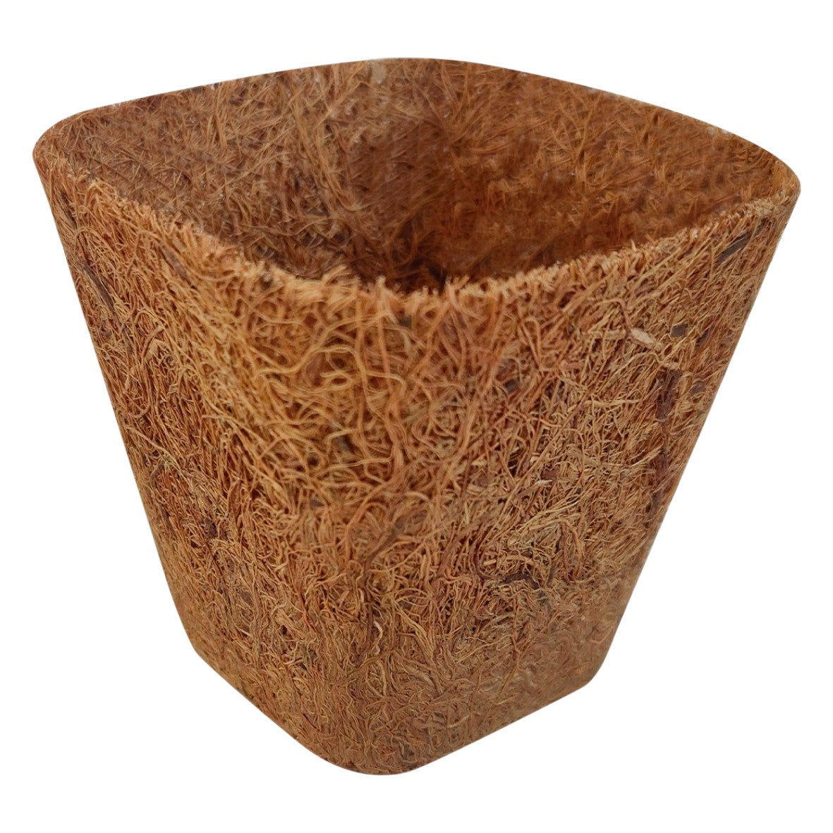 Macetas cuadradas de fibra de coco Biotop 8 x 8 x 8 cm (6uds)