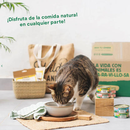 Pack Ragut tradicional de ternera y pollo para gatos 6x80 g Wild Balance