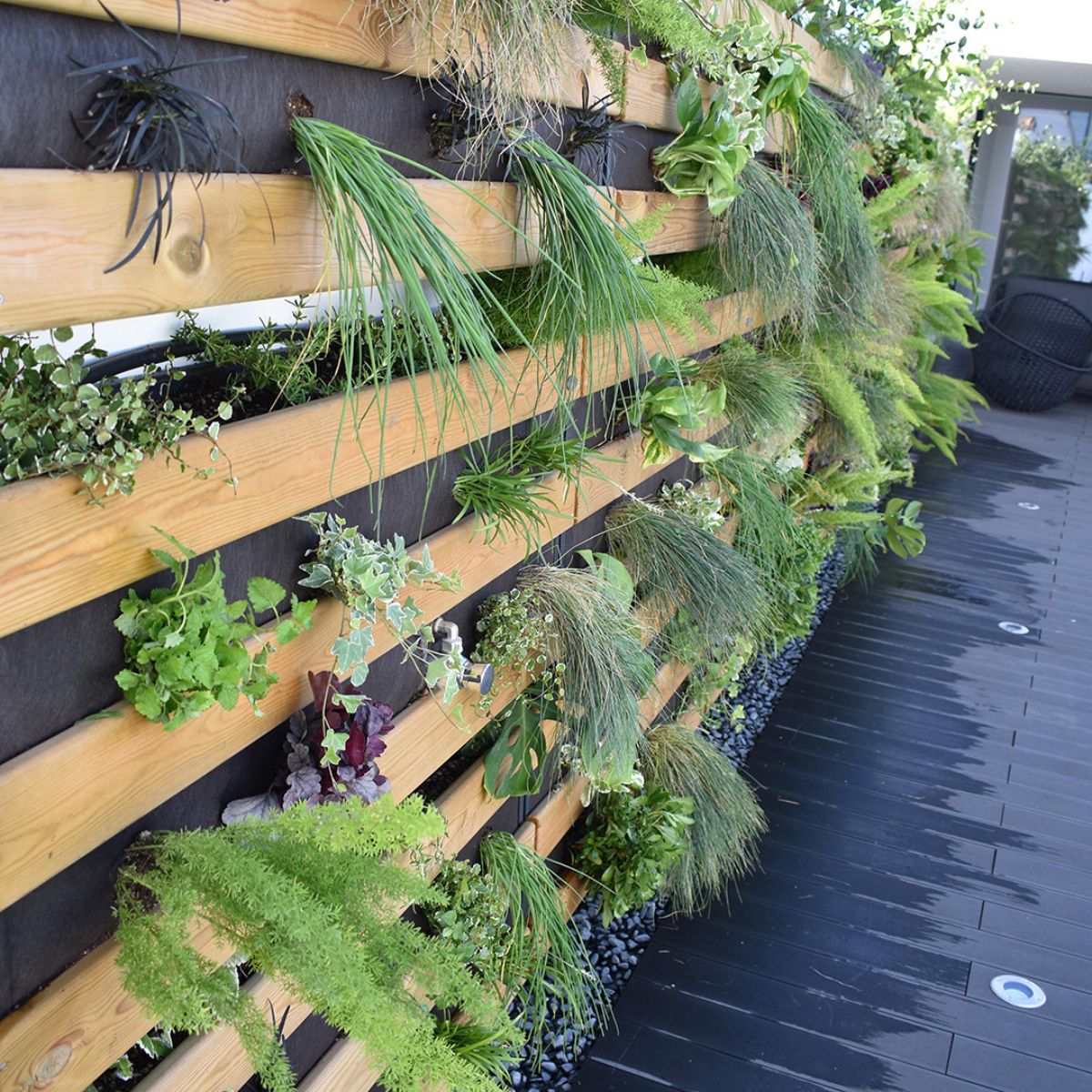 Jardín vertical L Hortalia