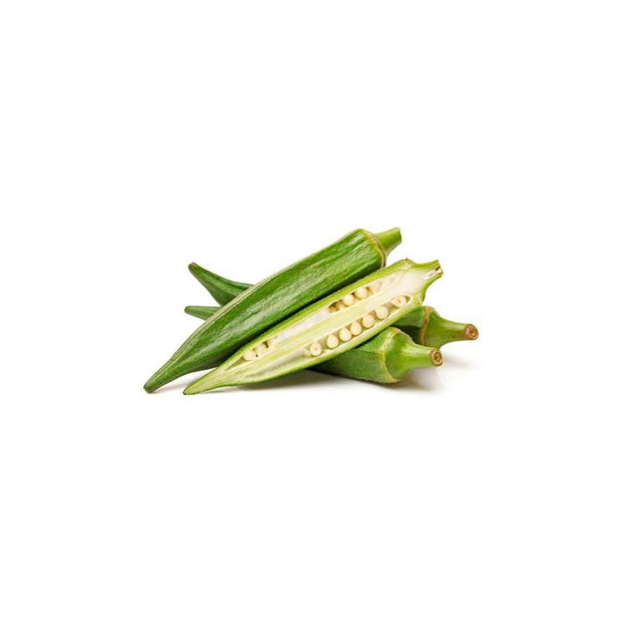 Plantón de Okra 6 uds. Gama Tradicional
