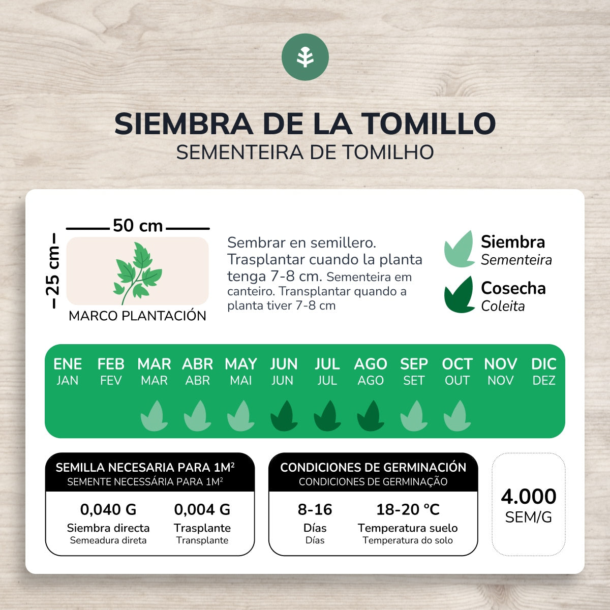 Semillas de Tomillo ecológicas Planeta Huerto