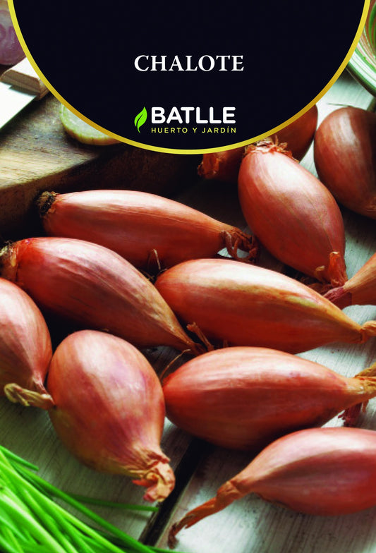 Bulbillo chalote amarillo 200g