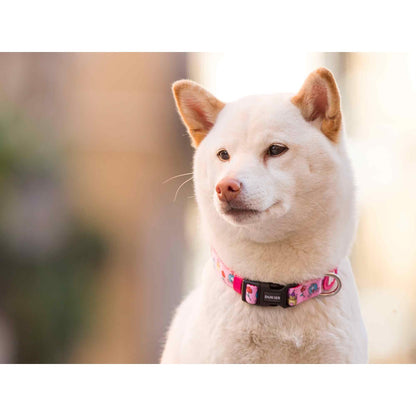 Collar para perro PRINCESS Dukier M