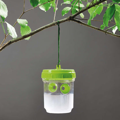 Trampa mosquero avispas y moscas de la fruta 2 ud Verdemax