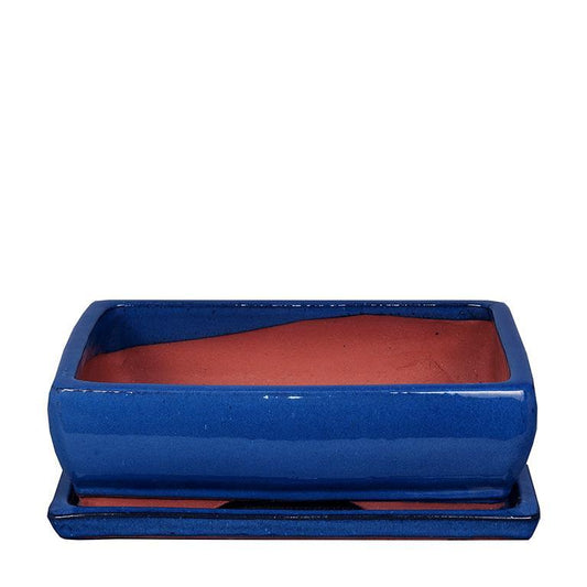 Tiesto bonsais Kofun rectangular azul + Plato