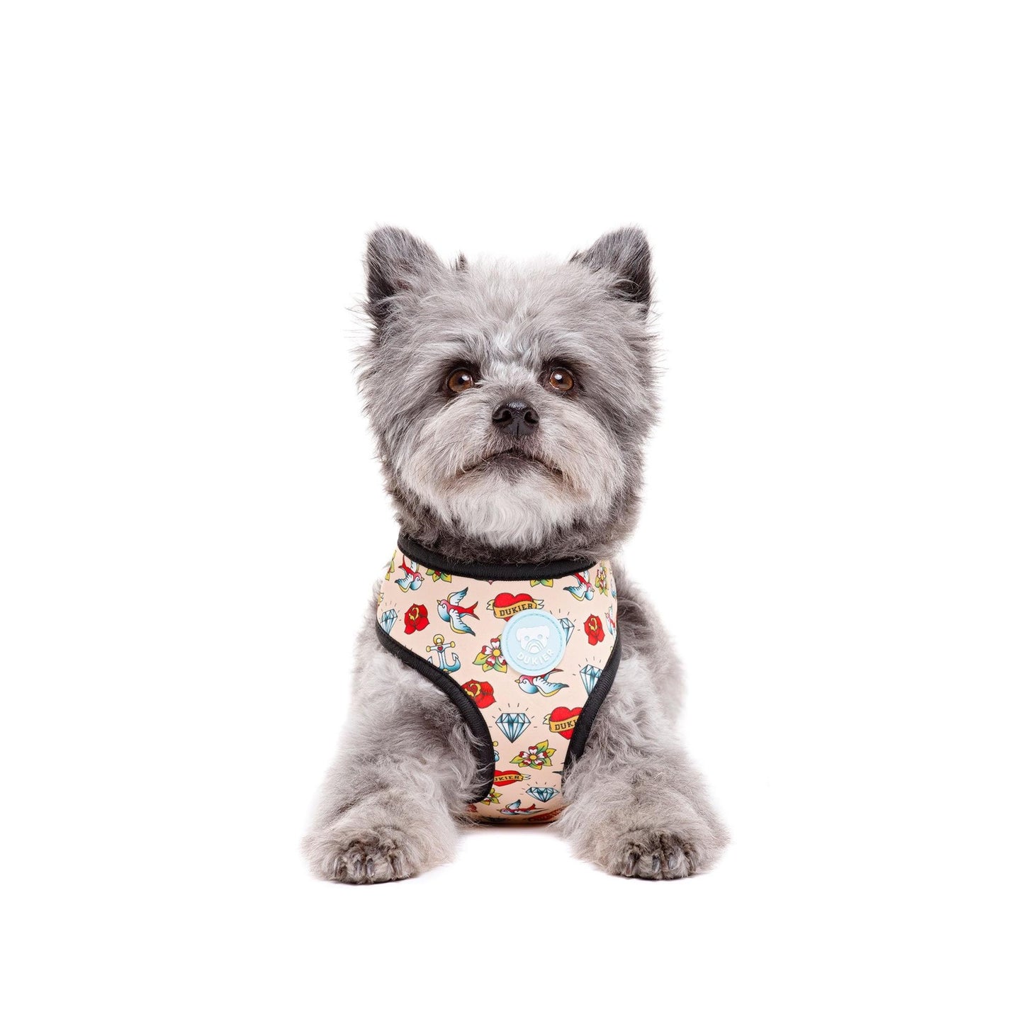 Arnés reversible para perro TATTOO Dukier