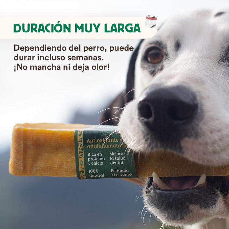 Mordedor Wild Yaky Golden Barrita de Leche de Yak del Himalaya con Cúrcuma Wild Balance 1 ud