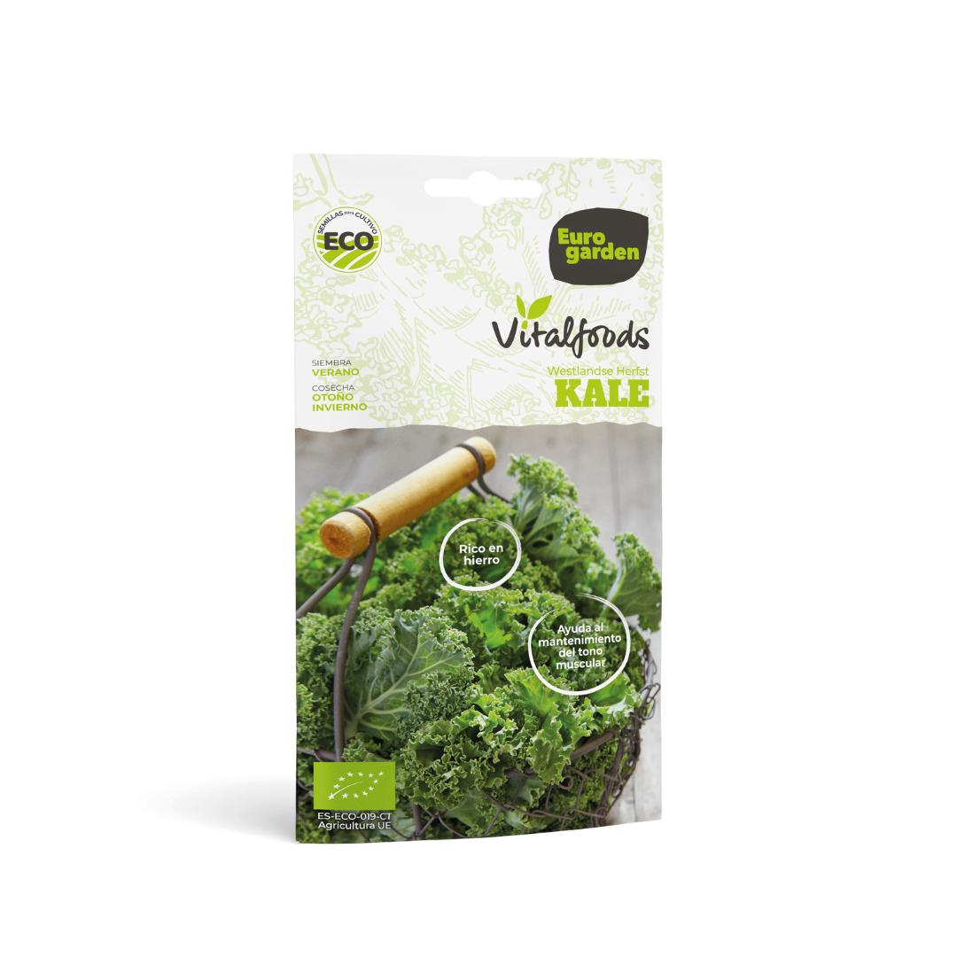 Semillas ecológicas de Kale Westlande Herfst Vitalfoods