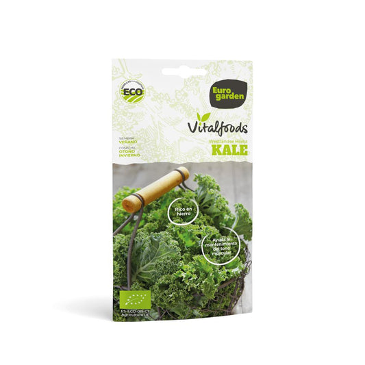 Semillas ecológicas de Kale Westlande Herfst Vitalfoods