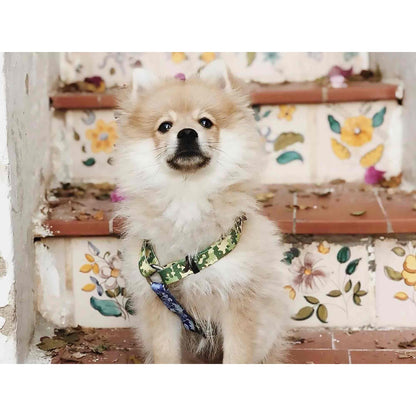 Arnés clásico para perro CAMO Dukier