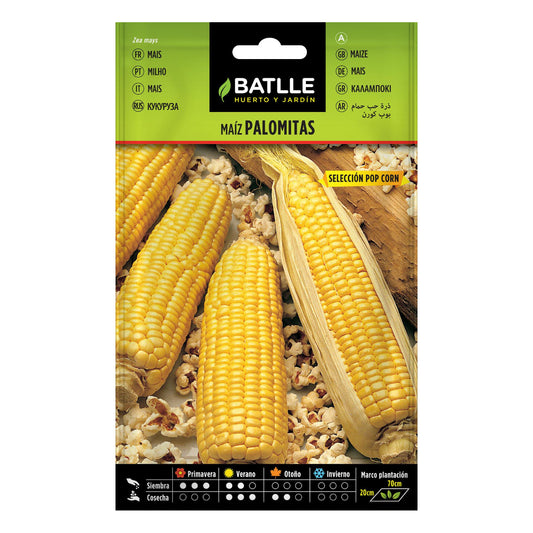 Semillas de  Maíz palomitas Pop Corn