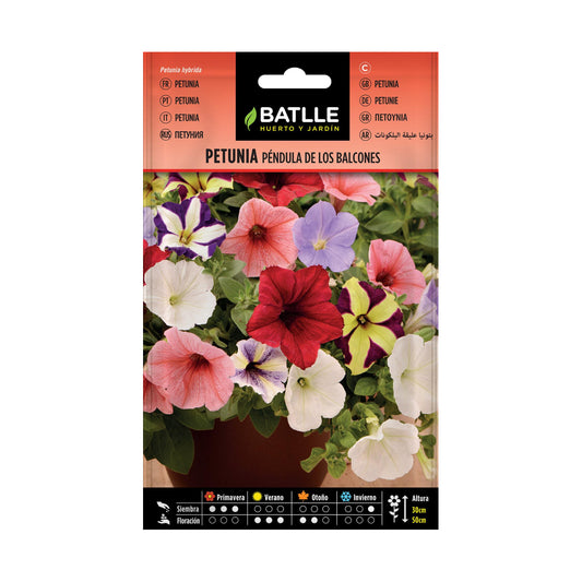 Semillas de  Petunia Péndula de los balcones variada