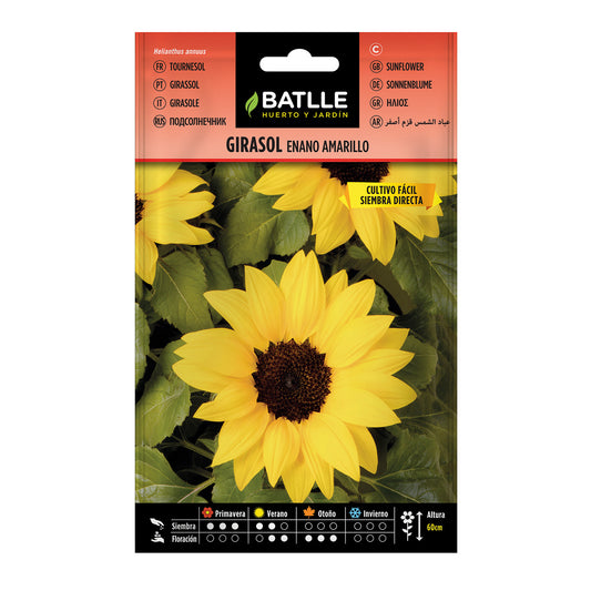 Semillas de Girasol Enano amarillo