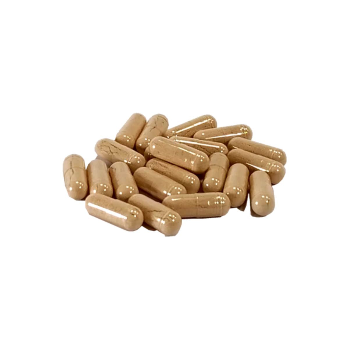 Repelente Garrapatas natural AniForte 60 caps