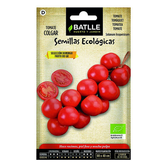 Semillas ecológicas de Tomate de colgar selección domingo Batlle