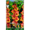Bulbo Gladiolo naranja centro amarillo 70 uds