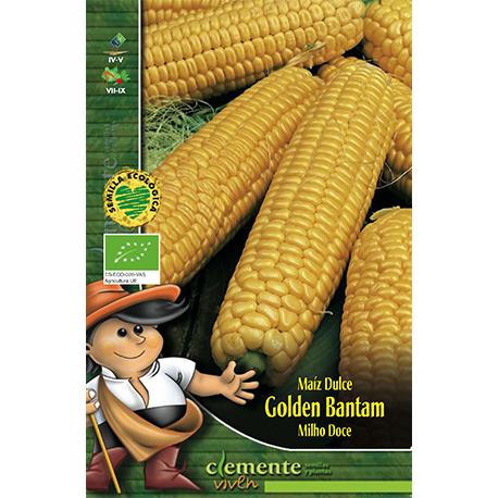 Semillas ecológicas de Maíz Dulce Golden Bantam