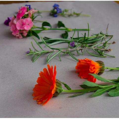 Kit  Flower Press