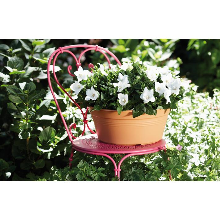 Bowl redondo Green Basics Elho Antracita 33 cm