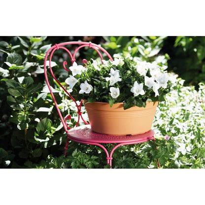 Bowl redondo Green Basics Elho Terra 33 cm