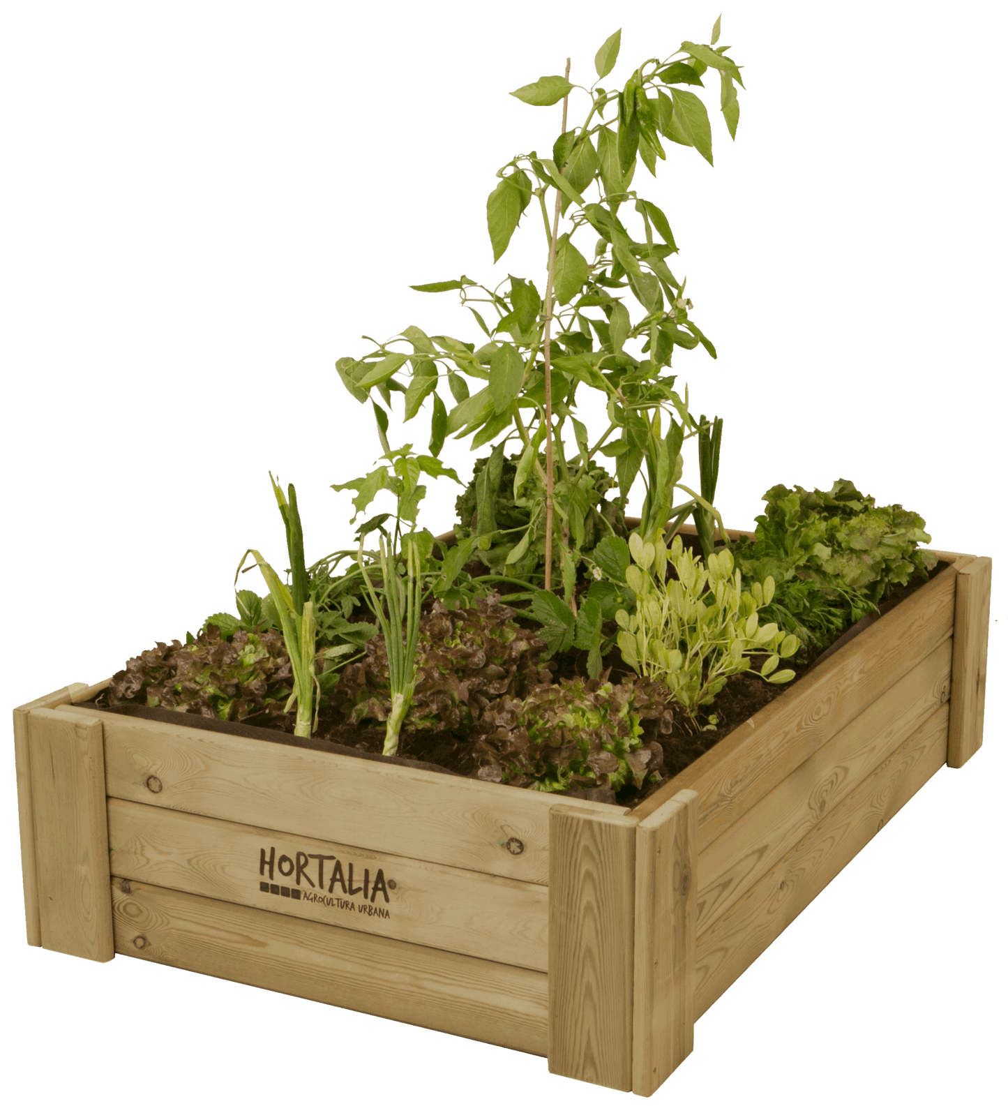 Cajonera cultivo Box L30 Hortalia 230 L