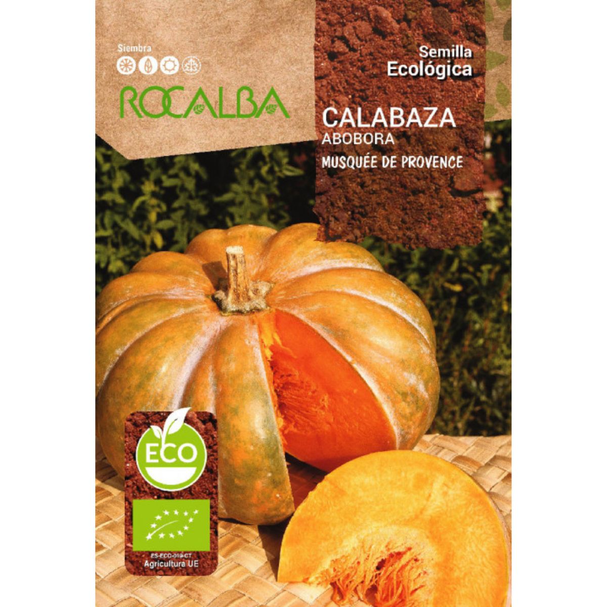 Semillas ecológicas de calabaza musquee de provence Rocalba