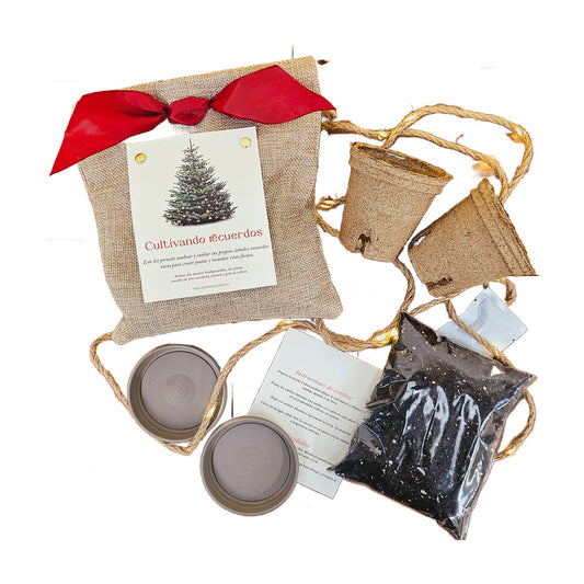 Cultivando recuerdos Kit cultivo pino navideño yute, Garden Pocket