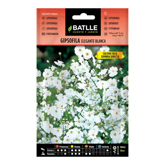 Semillas de  Gipsofila Elegante blanca
