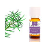 Aceite esencial árbol de té (Melaleuca Alternifoli). Camassia