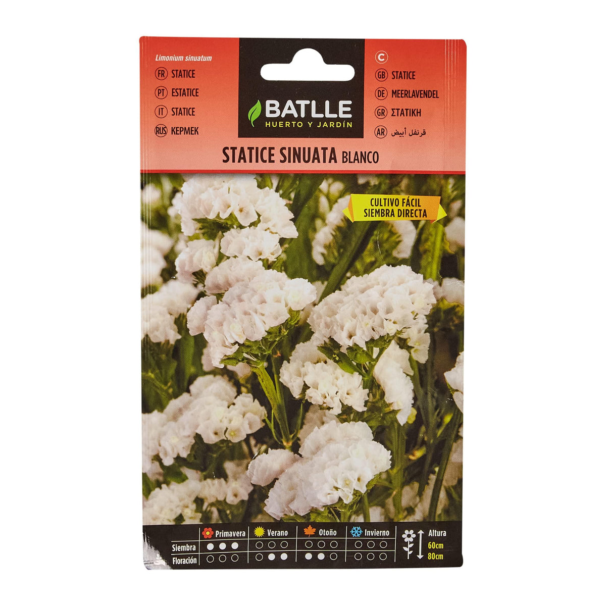 Semillas de  Statice blanco