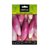 Semillas de Cebolla rosa Lung Firenza Batlle