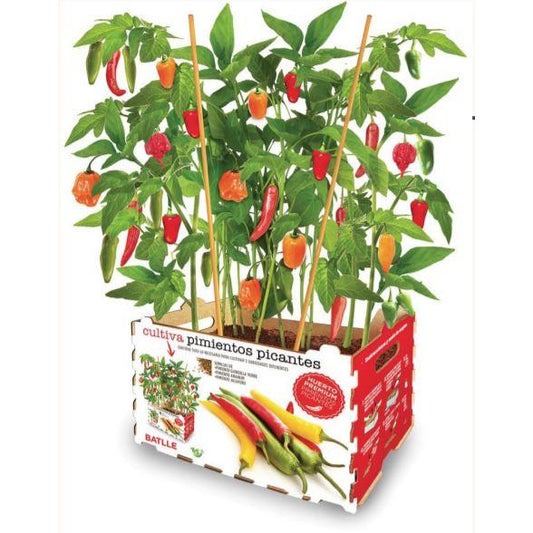 Huerto Premium Pimientos Picantes
