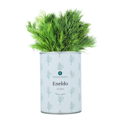 Pack Cofre Kits de cultivo aromáticas Planeta Huerto