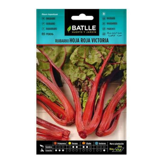 Semillas de Ruibarbo hoja roja Victoria