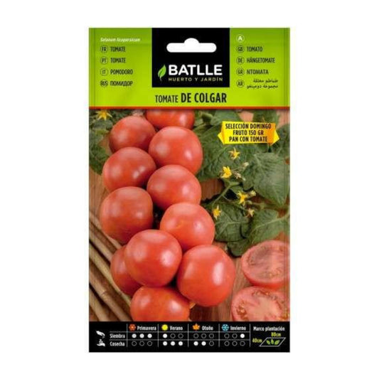 Semillas de  Tomate de colgar Domingo