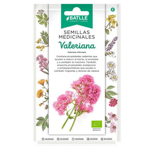 Semillas medicinales ecológicas de Valeriana Batlle