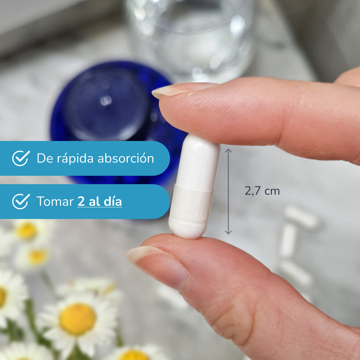 Pack 2xBisglicinato de Magnesio 500 mg Planeta Huerto 180 cápsulas