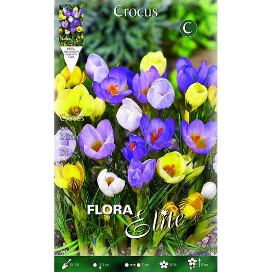 Bulbos Crocus mezcla de colores Elite 20 uds