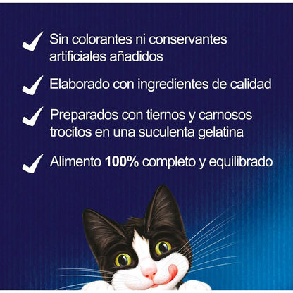 FELIX Fantastic Selección de Sabores en Gelatina pack surtido 44x85g Gato