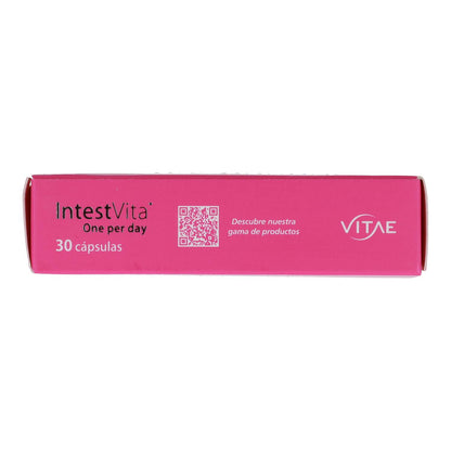 IntestVita One per Day