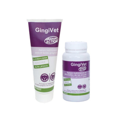 Stangest Gingivet pasta 100 g
