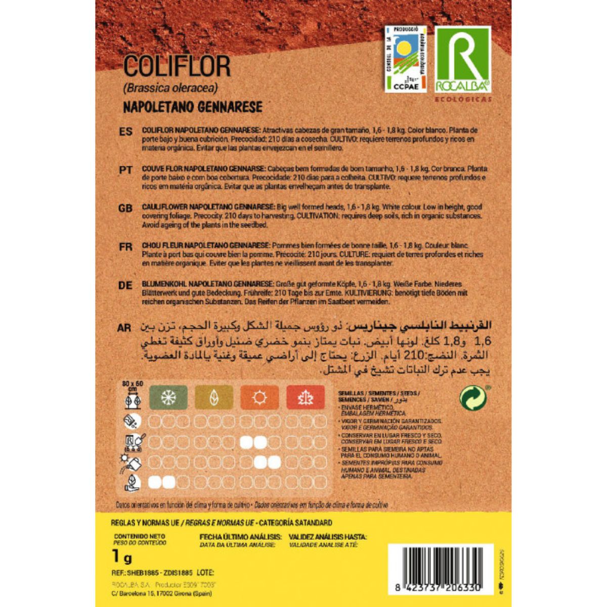 Semillas ecológicas de coliflor napoletano gennarese Rocalba