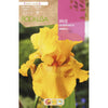 Bulbo Iris Germánica Amarillo 1 unidad (I)