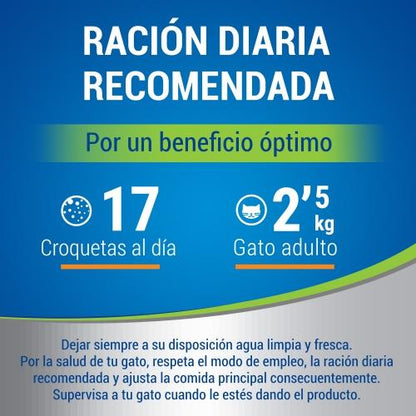 Dentalife Pollo Snack dental para gatos 40 g