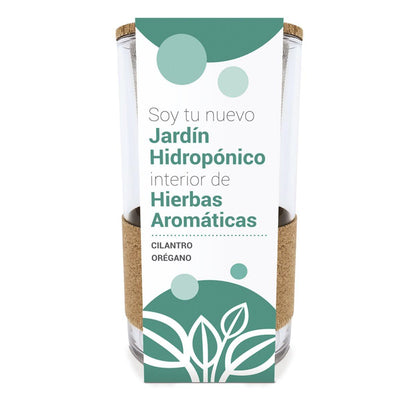 Cultivo hidropónico cilantro - orégano